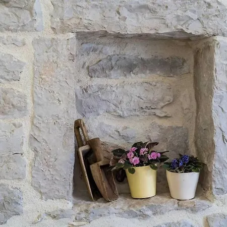 Am Olive Mill Vila Zuronja