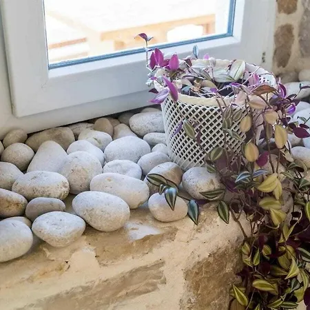 Vila Am Olive Mill Zuronja